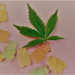 Best CBD Gummies